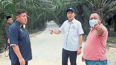 Photo of 登雅至万达镇碎石路完工 两地车程缩至800公尺