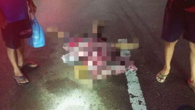 Photo of 妇女过马路遭撞毙 肇事车辆逃逸
