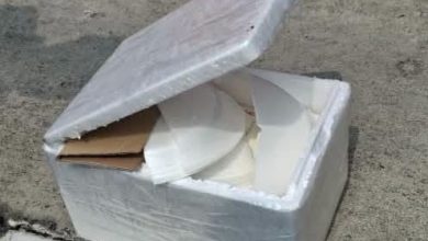 Photo of 森9学校现可疑包裹 惊动拆弹组