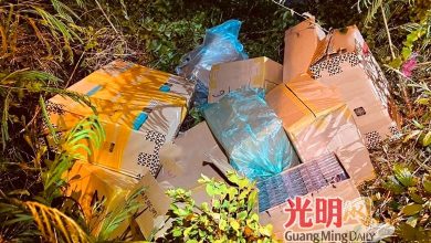 Photo of 玻关税局拉队到巴生货柜码头 查封逃税摩多轮胎