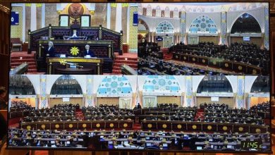 Photo of 违反多项议会常规 张健仁禁足砂议会