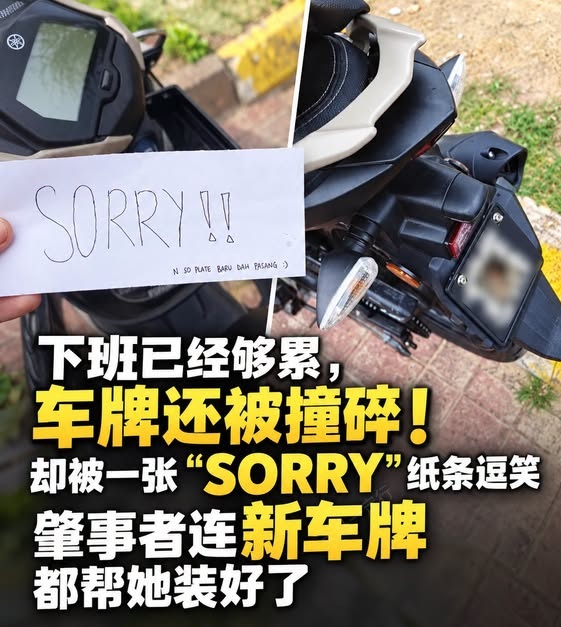 司机撞碎摩多车牌后 主动买新牌安装妥当 女骑士见状顿时“转怒为喜”