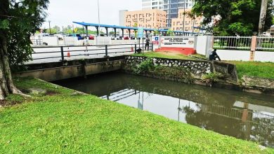Photo of 诗镇医院前大沟渠传有鳄鱼 动保局到场查无所获