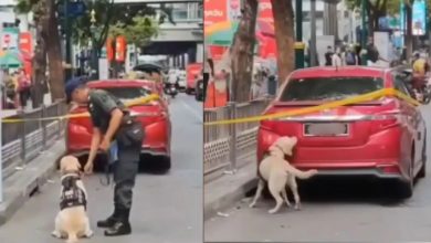 Photo of 泰警封街截查大马车才知道 夫妻为省钱载40L燃油入泰