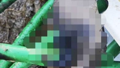 Photo of 男子疑偷电缆触电亡 国能:涉事33kV电箱属第三方