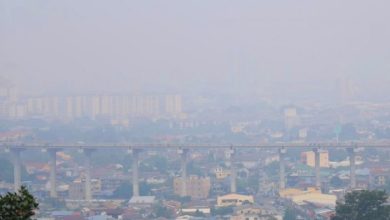Photo of 全国36地区不健康 巴西古当190点最高