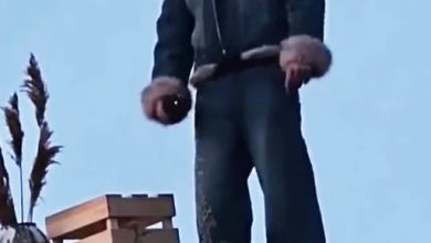 Photo of 悬崖喊话曝光孩子性别 黄子韬当爸自打脸被网酸