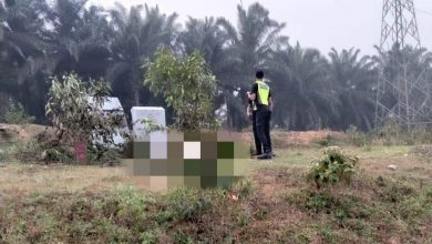 Photo of 又一宗! 偷电缆疑被电死