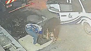 Photo of 路盖半夜被割开带走 店主不明动机报警