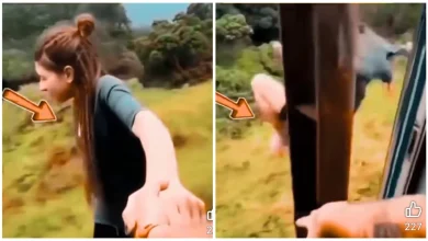Photo of 女子火车上探身遭电线杆撞飞? 影片真伪引争议