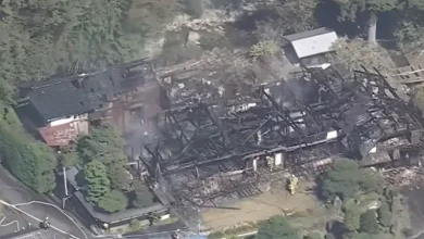 Photo of 火攻蜂窝酿大祸 日本阿公烧掉整个家