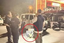 Photo of 花莲东大门夜市爆持刀追砍 游客狂奔尖叫逃命