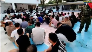 Photo of 菲律宾扫荡非法网赌  捕244人包括大马人