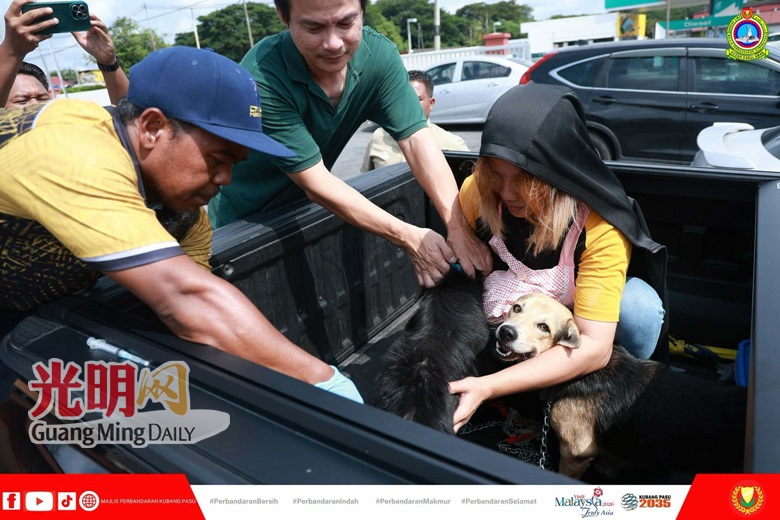 兽医局古邦巴素检测98样本 未发现狂犬病阳性病例