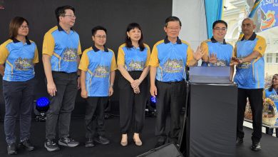 Photo of 百年老树被砍很惋惜 曹观友: 须顾及公众安全