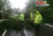 Photo of 槟岛长命雨 多区闪电水灾树倒