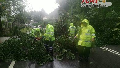 Photo of 槟岛长命雨 多区闪电水灾树倒