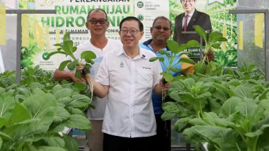Photo of 林冠英开炮 促沈志强处理邓章钦