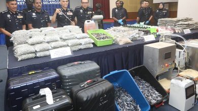 Photo of 雪警7天破4集团起千万毒品 捕8人1人兴都庙藏毒