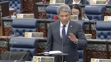 Photo of 国会〡遣返罗兴亚人不能只靠大马 外长：缅甸须采行动