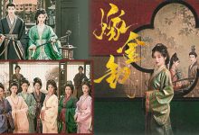 Photo of 《嫁金钗》田曦薇扛剧分饰真假千金 宅斗剧掴成动作片