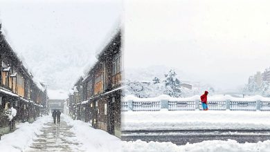 Photo of 【好吃好玩】去日本北陆体验雪