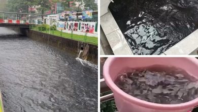 Photo of 烟霾锁城天降黑雨 网民: 可怜我的肺